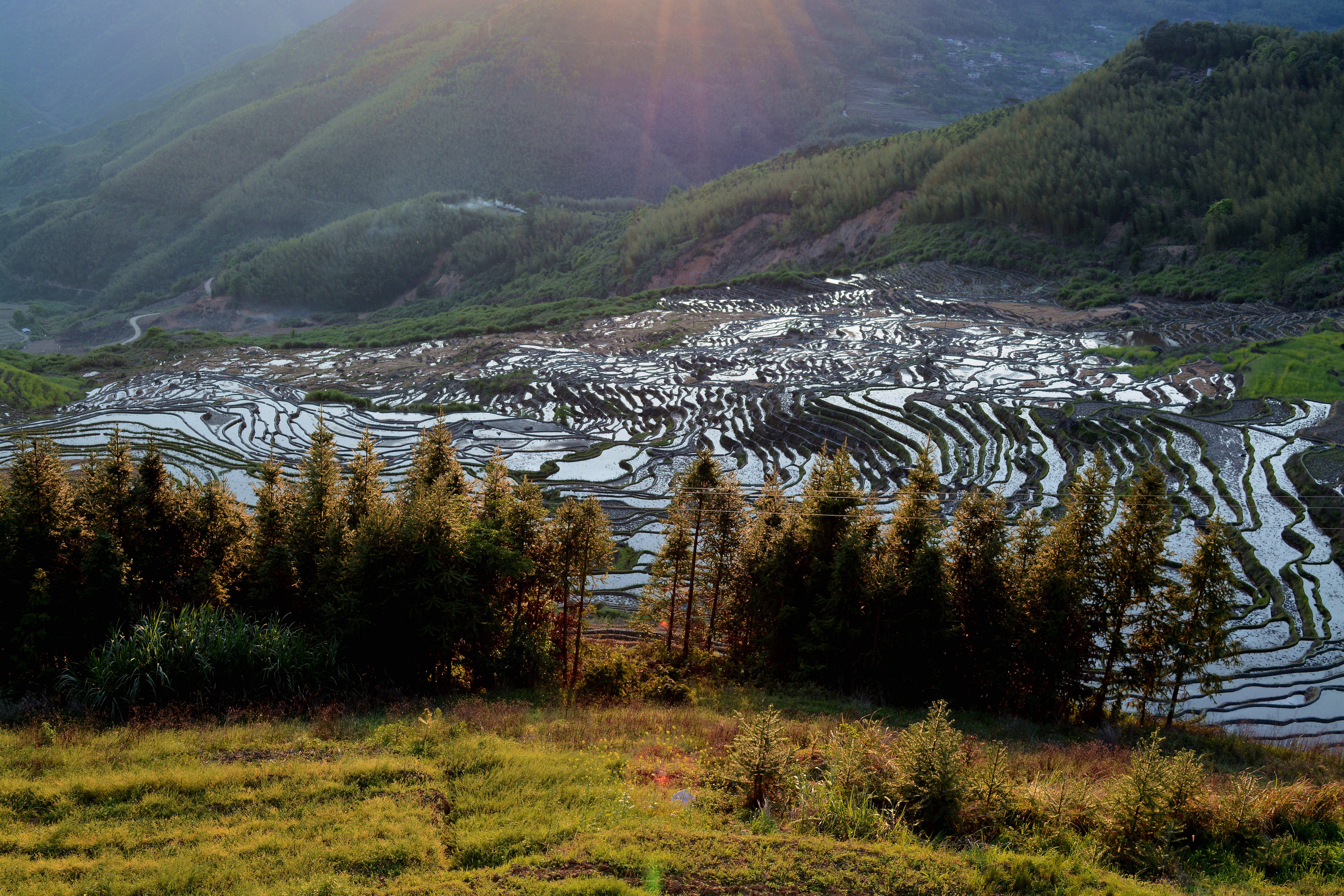 尤溪联合梯田