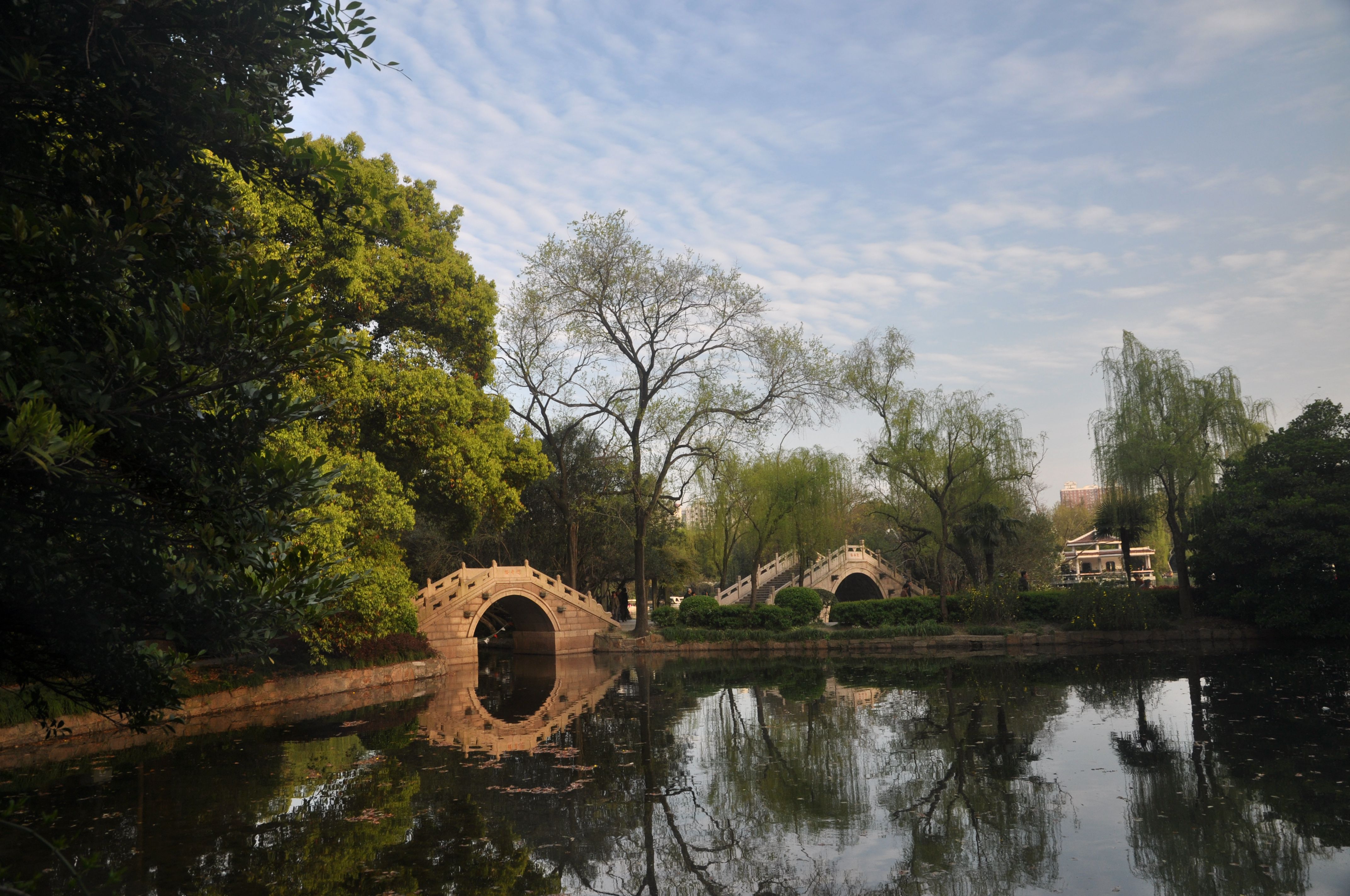 上海杨浦公园