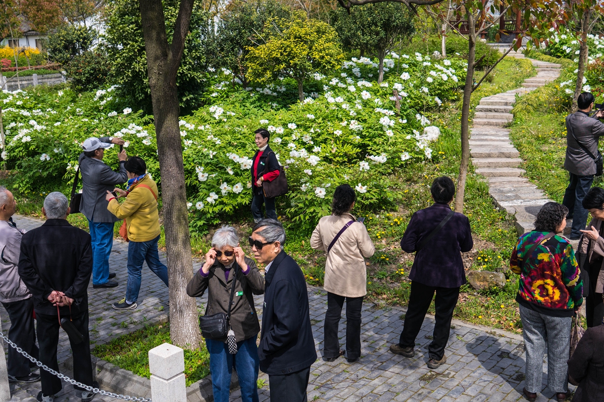 參觀益大本草園