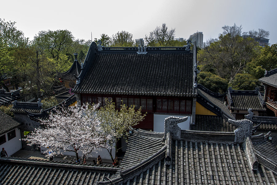 姑蘇城外寒山寺 (共 8 p)