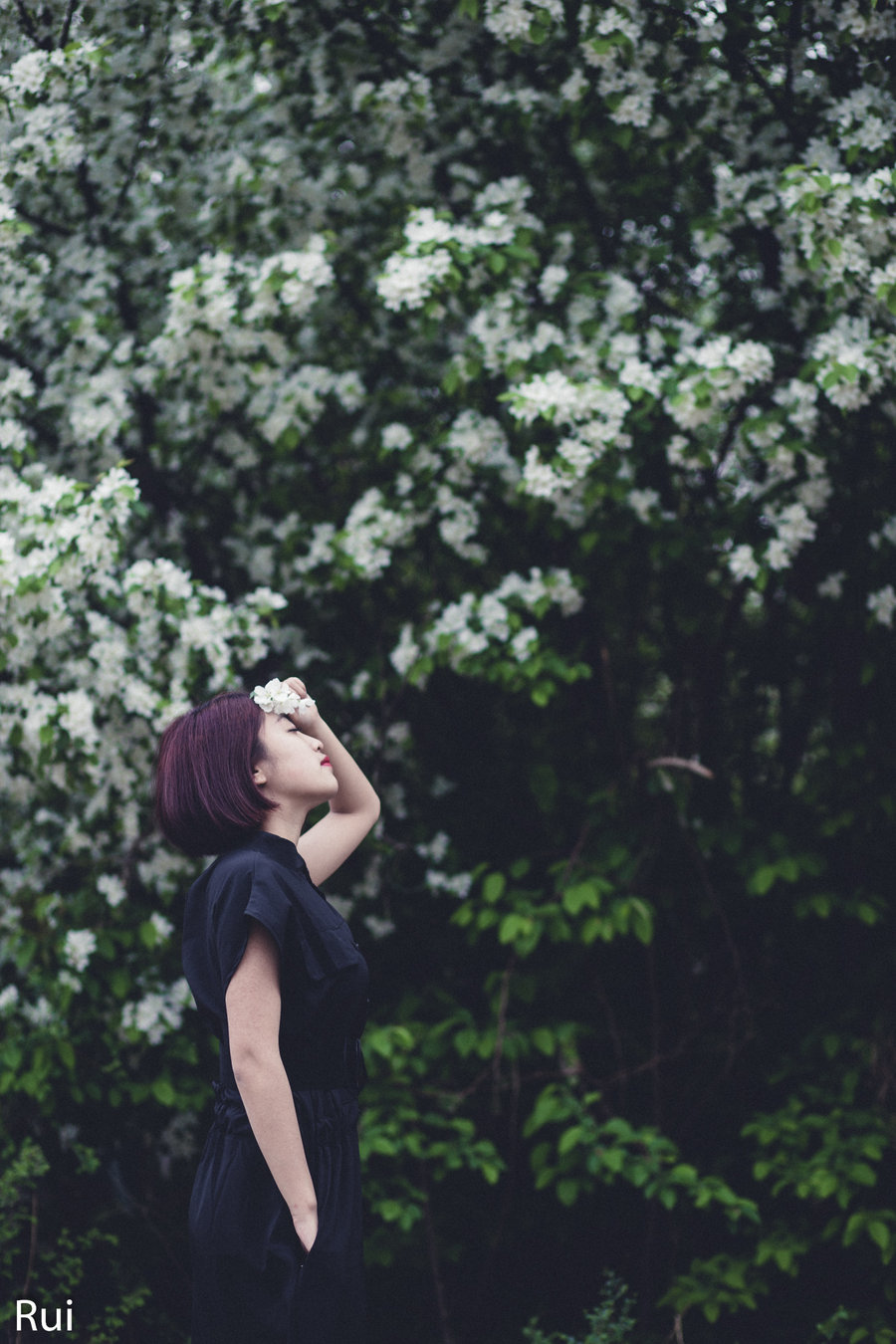 梨花带雨的美女图片