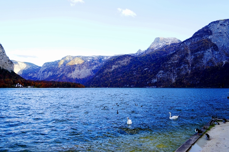 ʩHallstatt¡