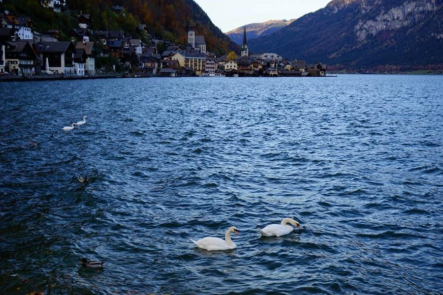 ʩHallstatt¡