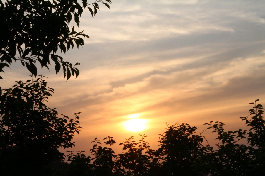 夕阳的照片简单图片