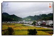 赴黄山 一路烟雨一路歌 之二