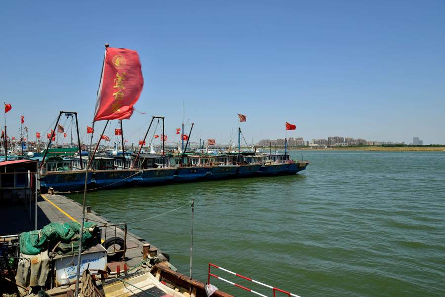 天津北塘渔港图片