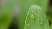 雨后小拍