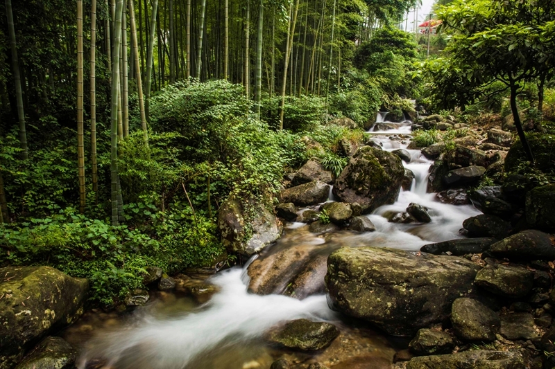 山水拾涧图片