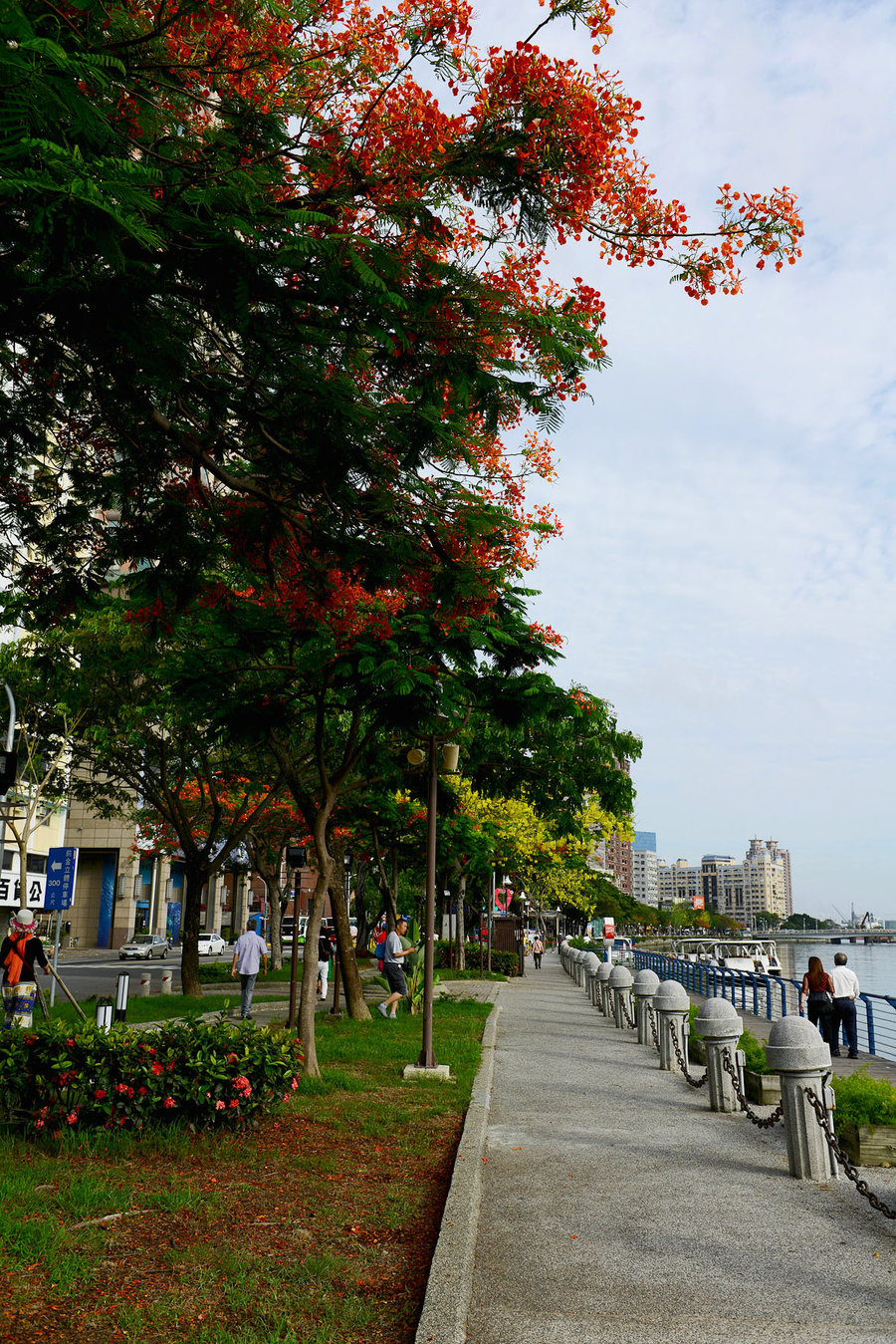 台湾爱河图片