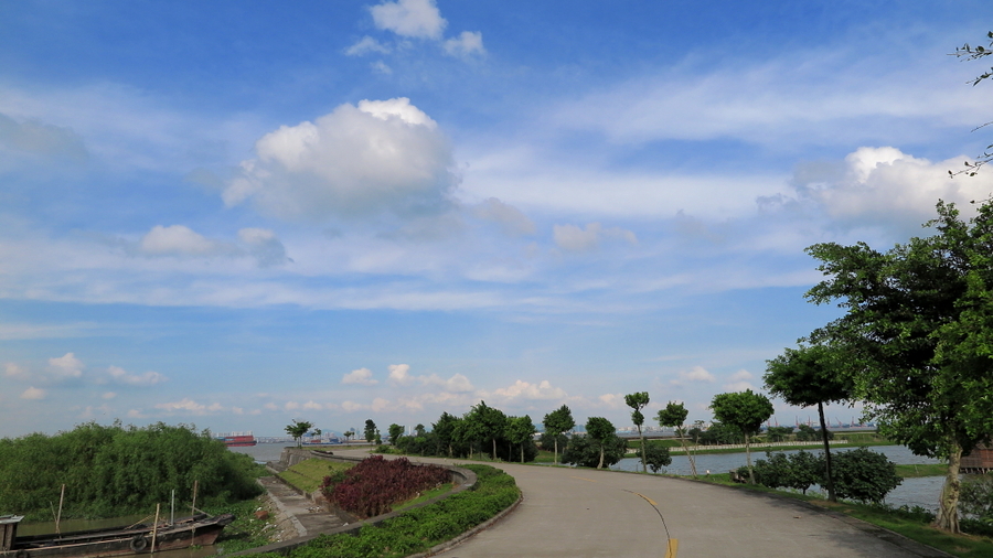 广州海鸥岛景点图片