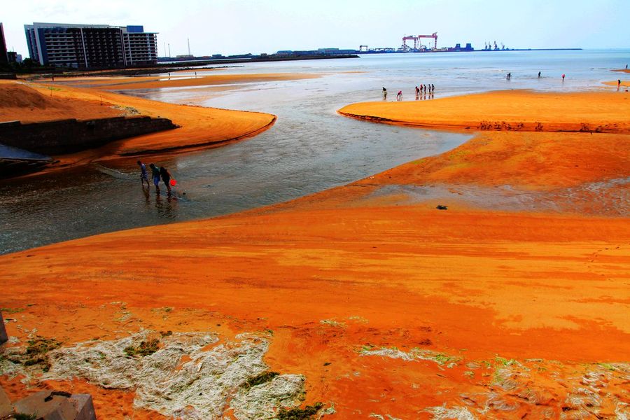 海阳金沙滩图片