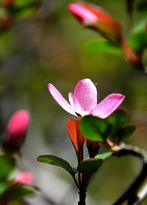                                            Ƭ·
