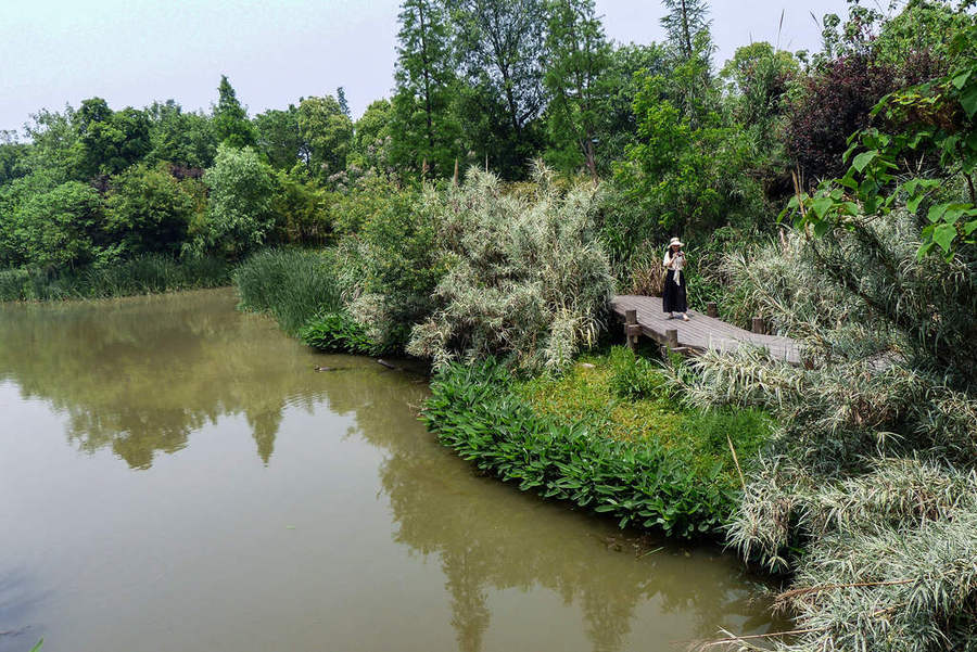 西溪溼地公園之東區