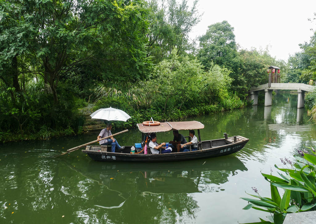 【西溪溼地公園之東區攝影圖片】風光攝影_老楊36_太平洋電腦網攝影