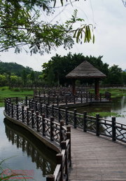 大夫山森林公园