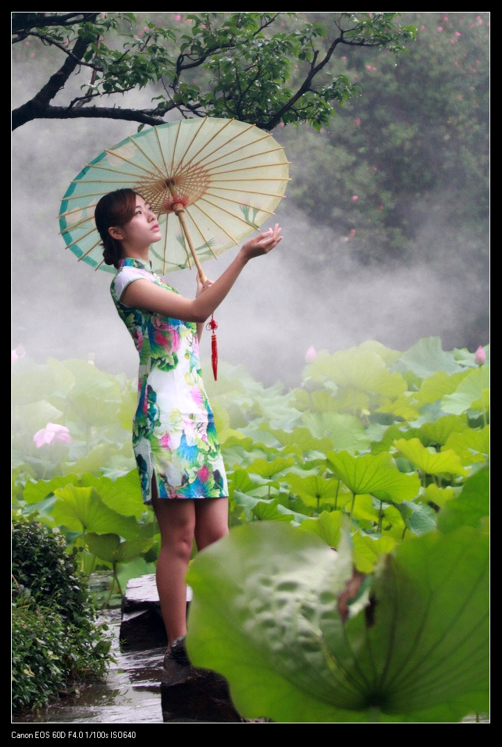 【古漪荷花雨中旗袍倩影摄影图片】人像摄影_金罗毛哥_太平洋电脑网