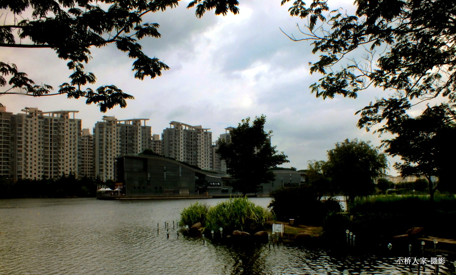 夏阳湖公园图片