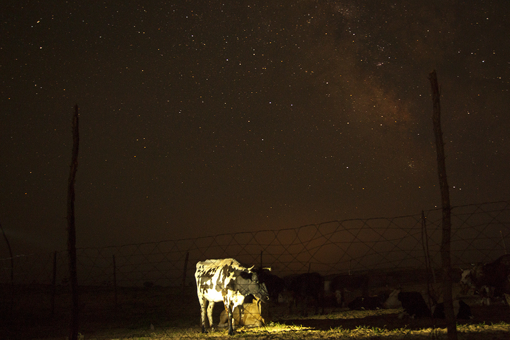 草原夜色美唯美意境图片