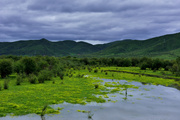 又见川西