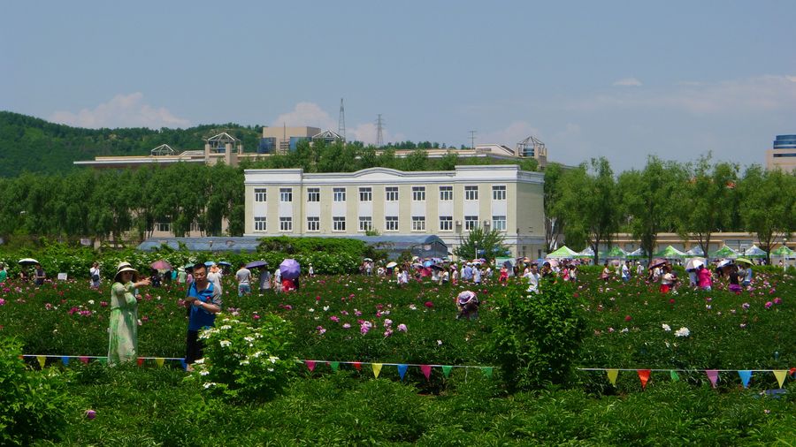 牡丹江黑农经学院图片