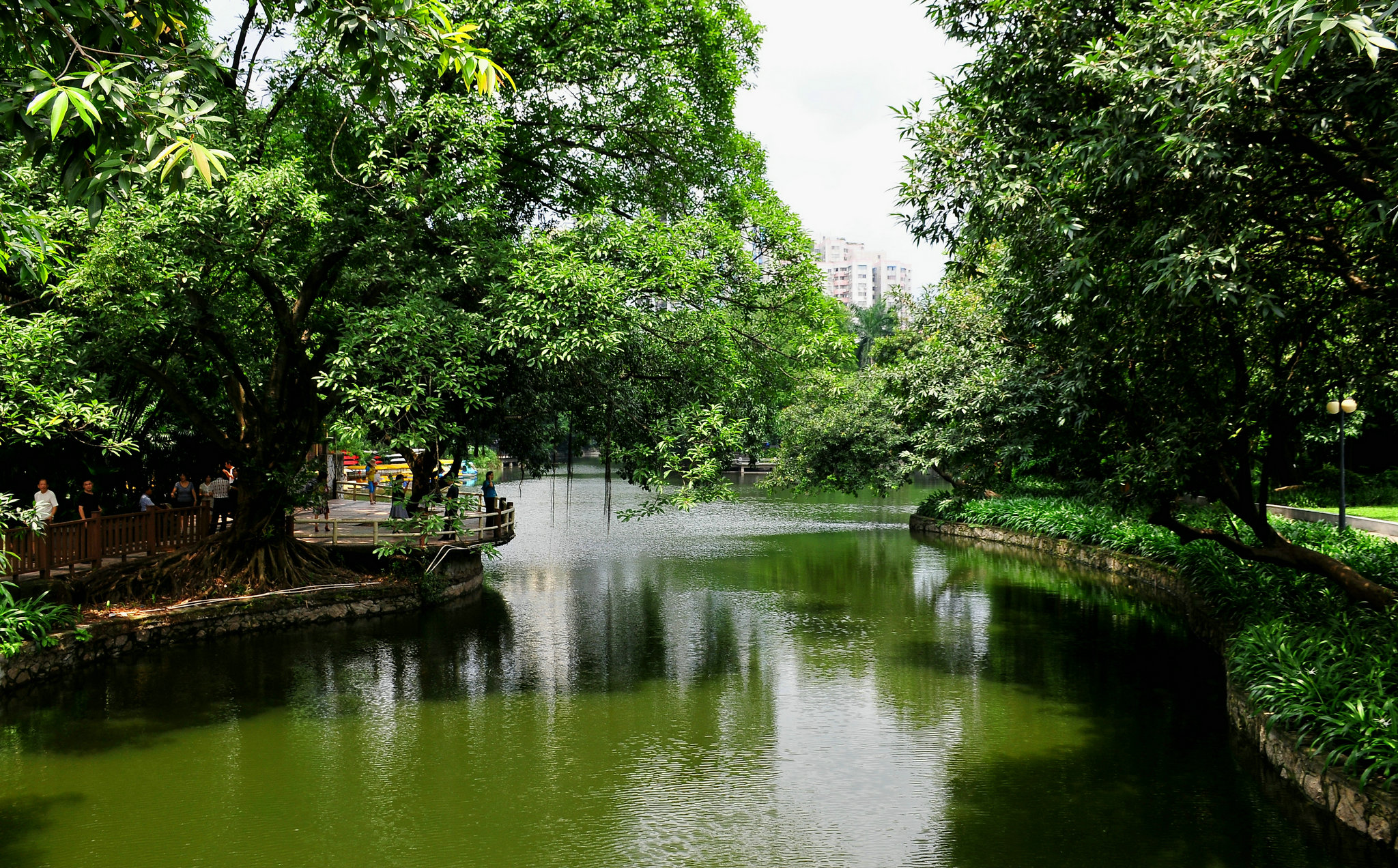 玩玩远近的随拍!