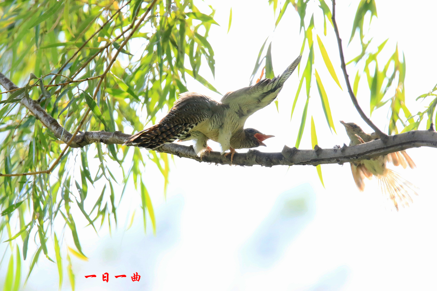 έݺ롾ž顿ӡ֮