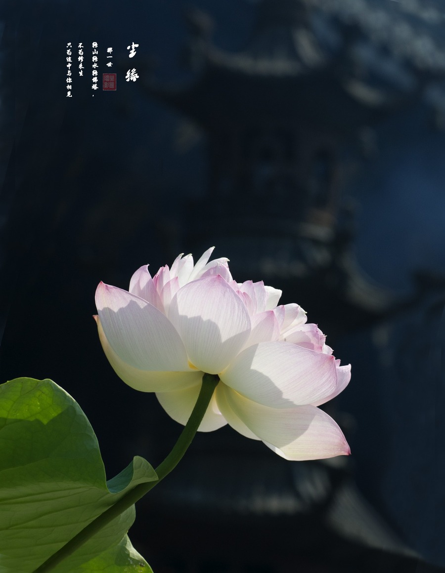 Ե