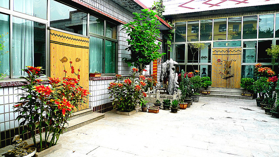 山东农村平房院子图片