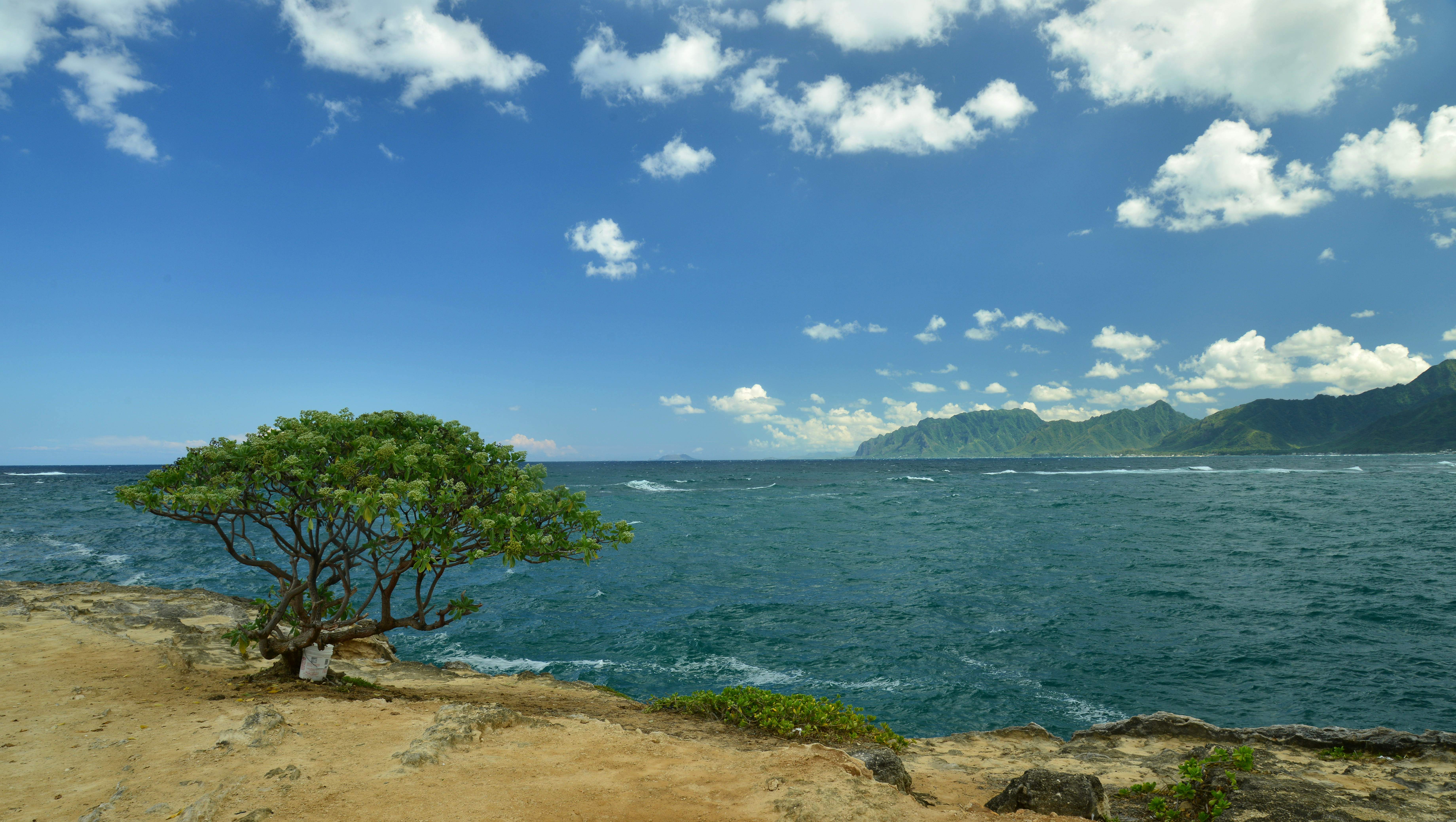 夏威夷风景 真实照片图片