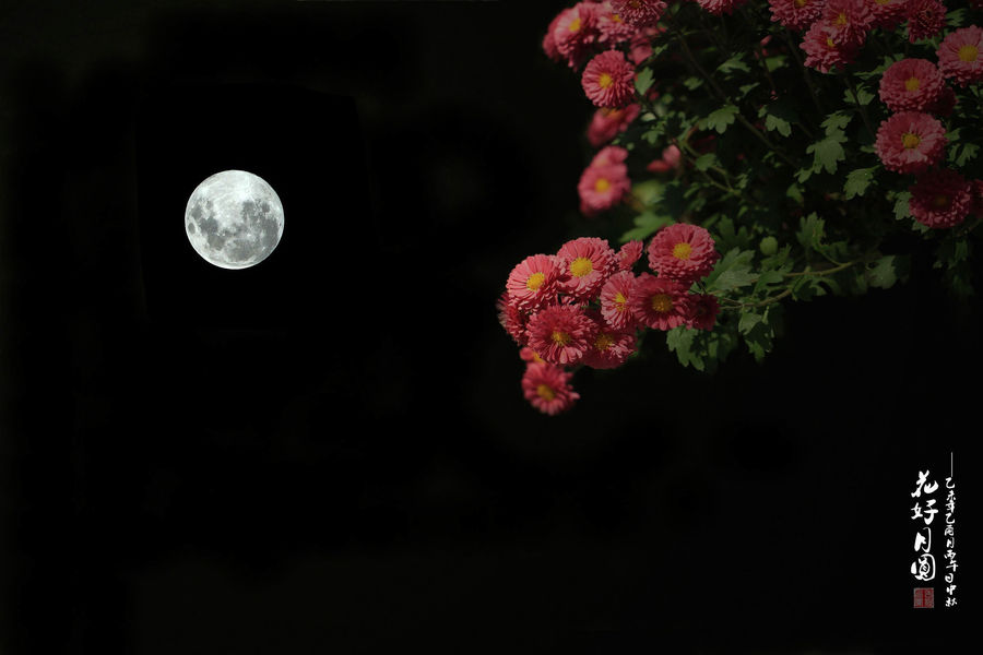 月圆花好图片唯美图片