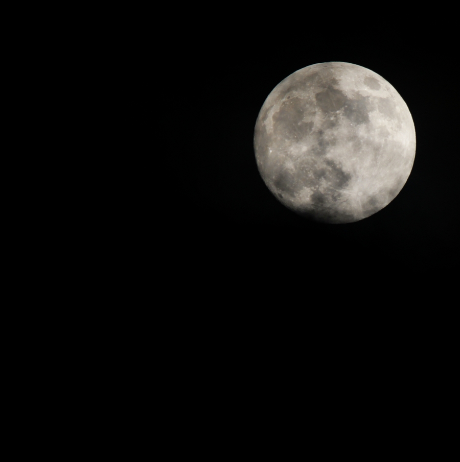 初二的月亮照片图片