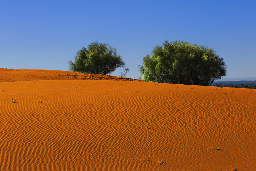毛乌素沙漠南缘图片