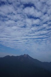 广东云髻山省自然保护区《摄影大赛征稿启事》