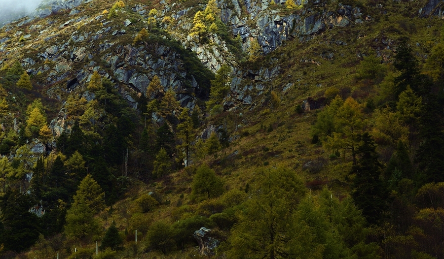 (﹵֮)