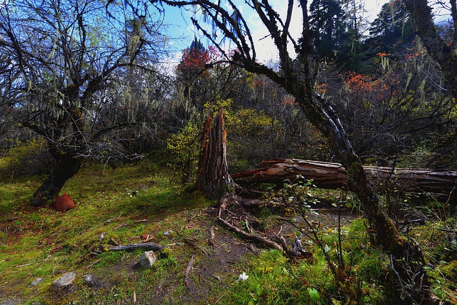 (﹵֮)