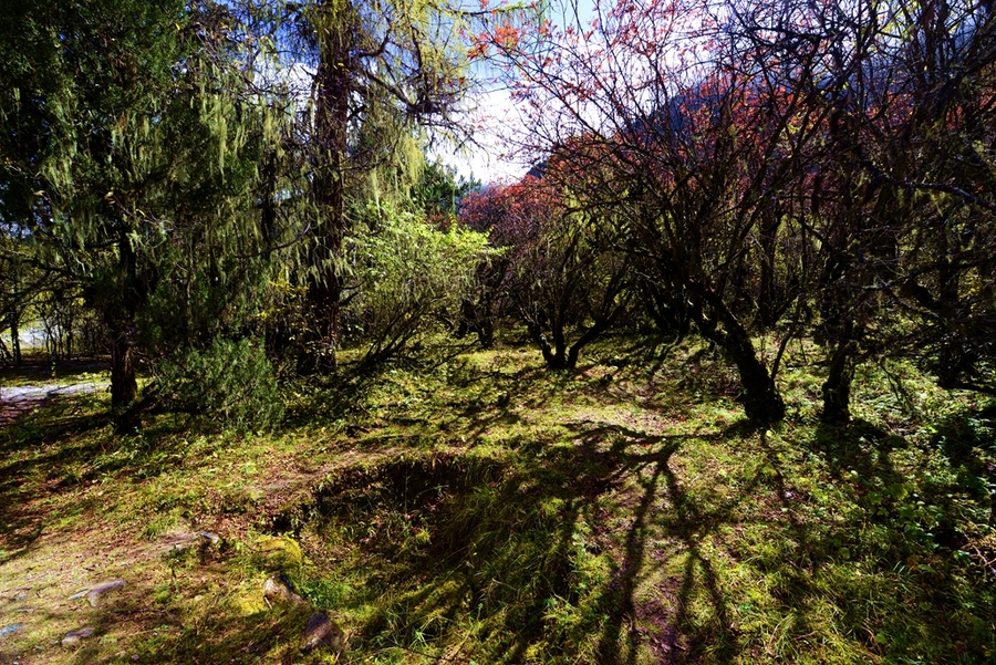 (﹵֮)