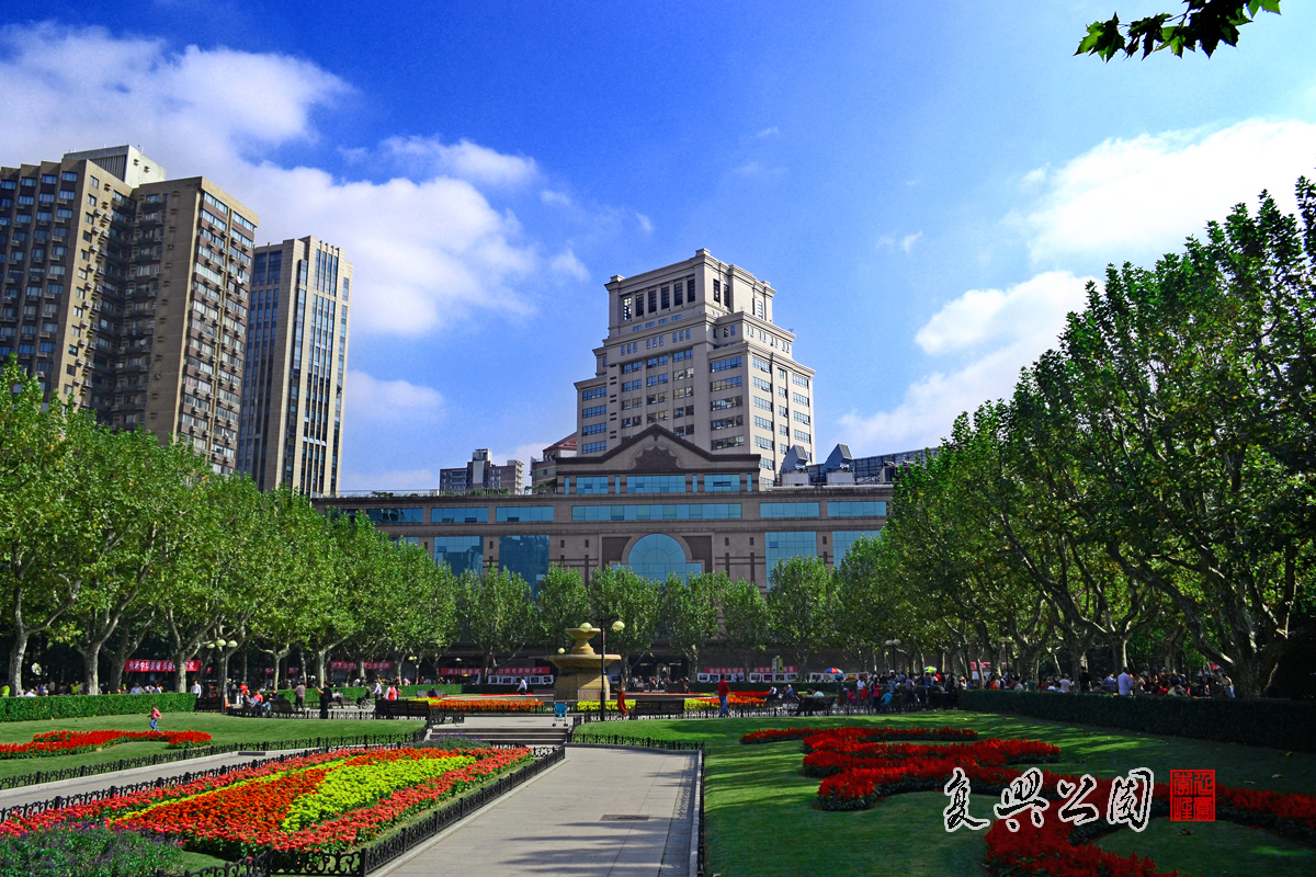 上海复兴公园打架图片