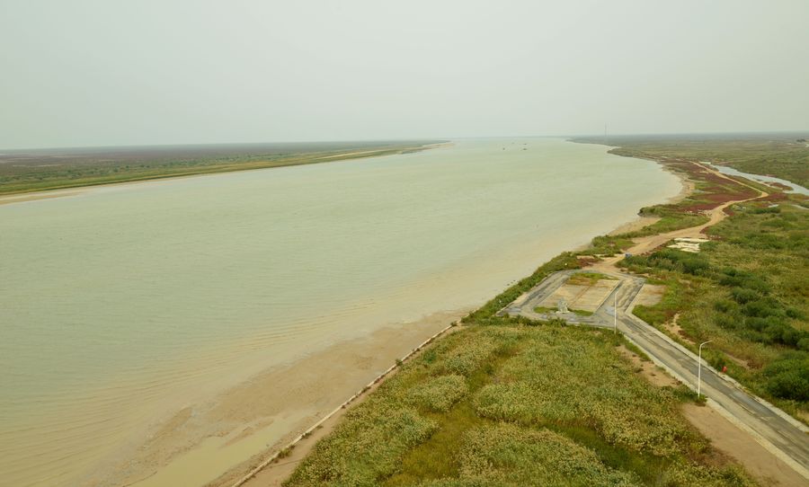 滨州黄河入海口图片