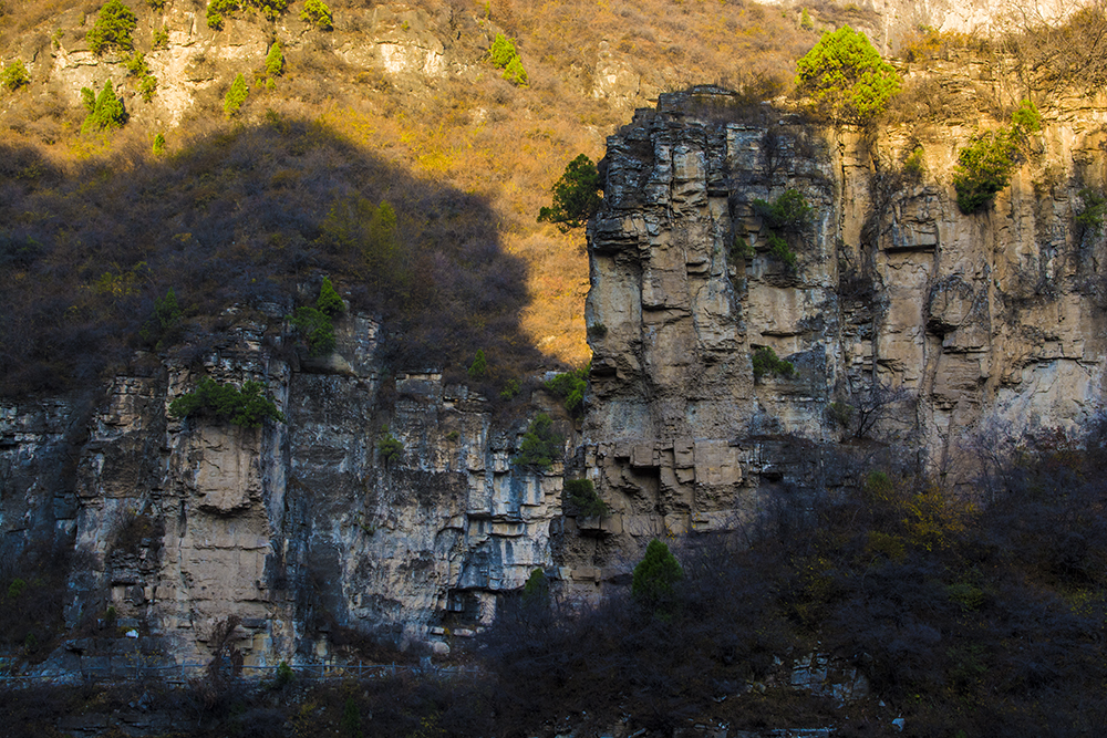 林滤山侧影—山石萌萌