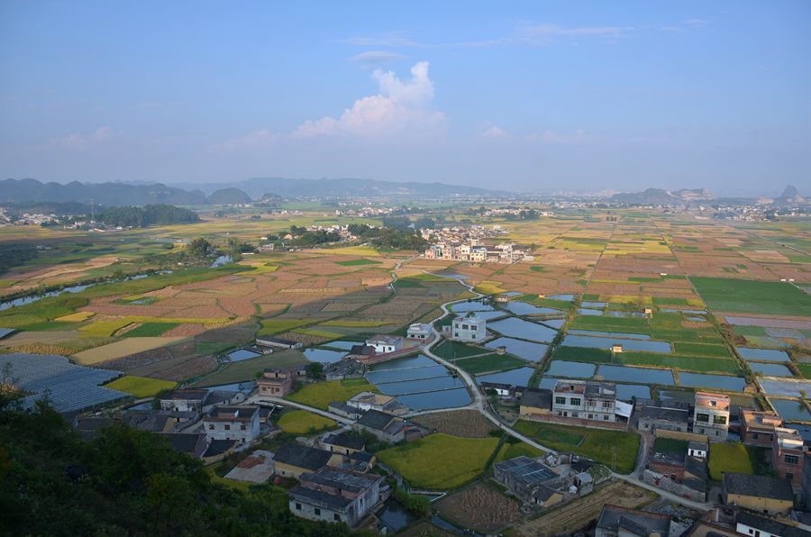 希望的田野