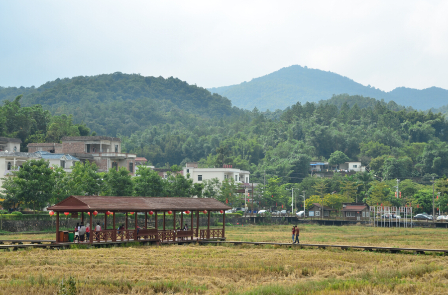 萧山红山村图片