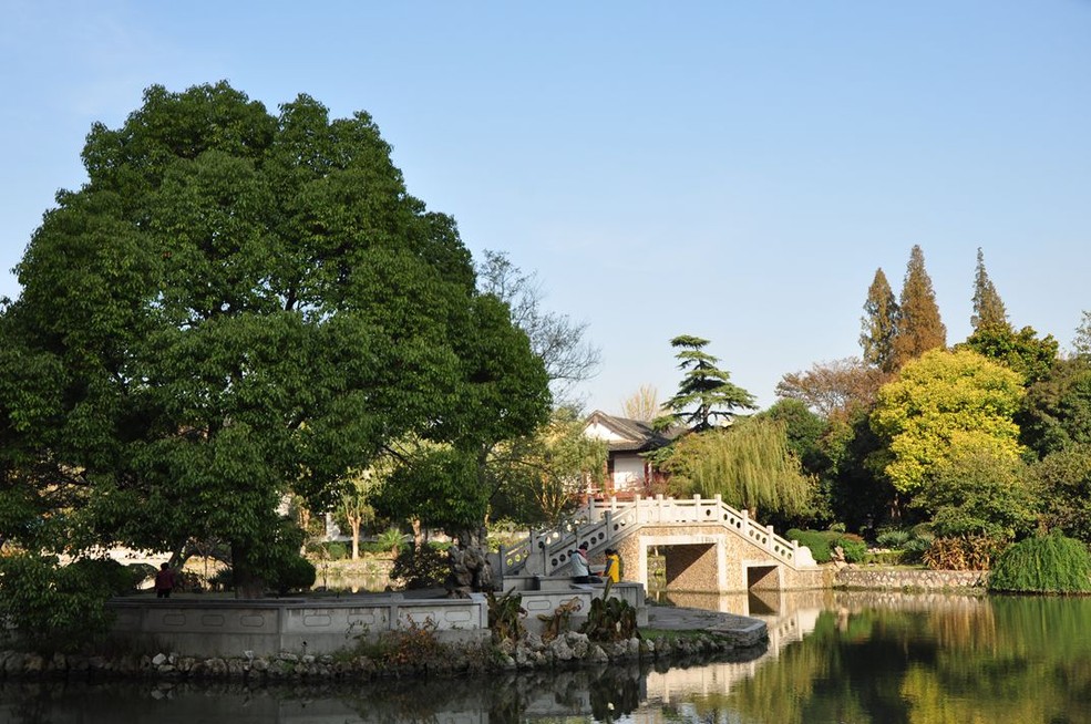 繡球公園(4)_南京攝友會論壇_太平洋電腦網產品論壇