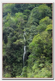 山中有流水，借问不知名。