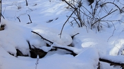 封山大雪