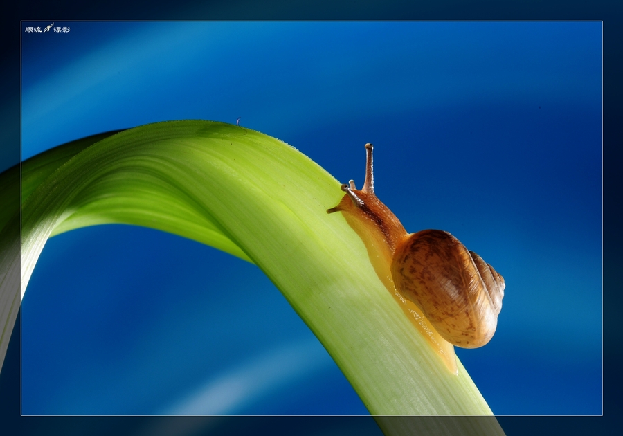 ΢Ƭ