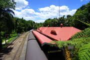 热带雨林中的火车站