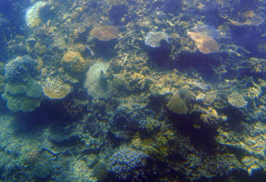 【下海   从凯恩斯 到大堡礁摄影图片】风光摄影