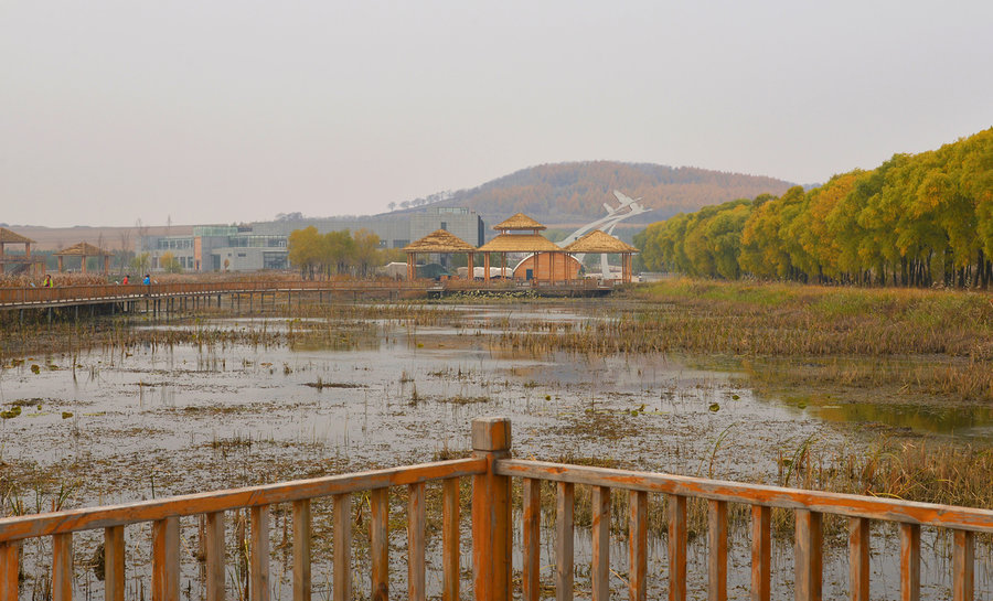 地址(位置,怎麼去,怎麼走): 黑龍江省雙鴨山市集賢縣g1011(哈同高速