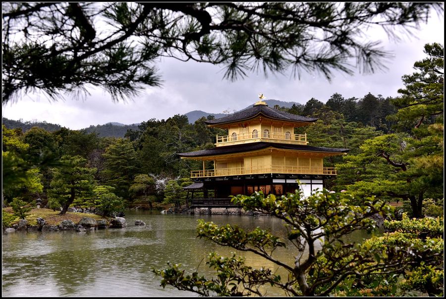 日本金阁寺日本金阁寺门票