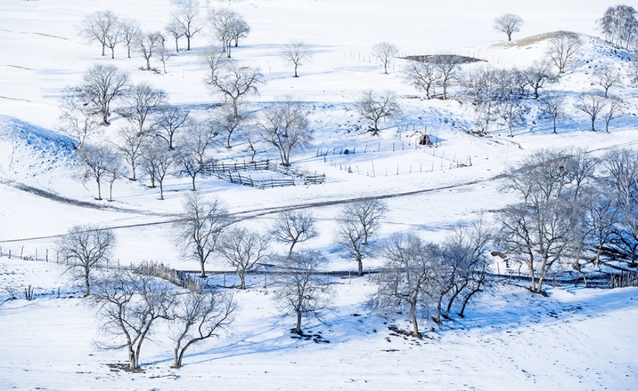 壩上雪景匆匆一瞥